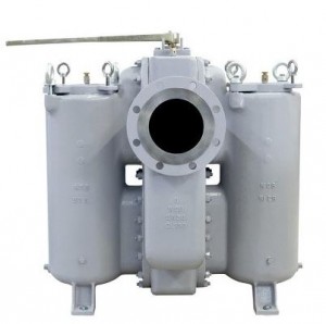 Filtro Canasta Duplex CS DS 695 CI - DS 695 CI