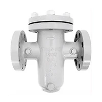 Filtros Strainers